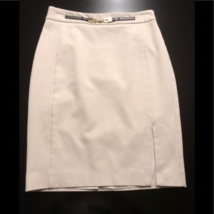 Express pencil skirt
